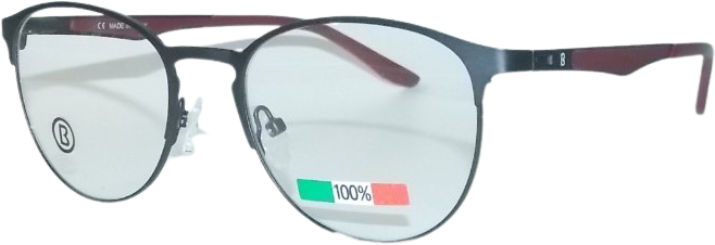 Dámské brýle B1919