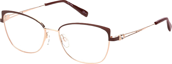 Dámské brýle Pierre Cardin