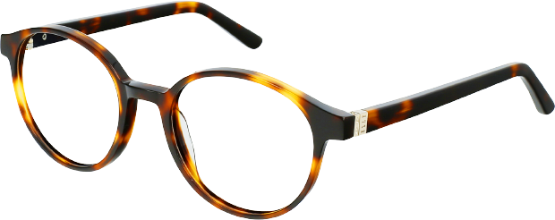 Pánské brýle ELLE