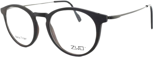 Pánské brýle ZWO