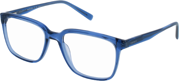 Pánské brýle Esprit
